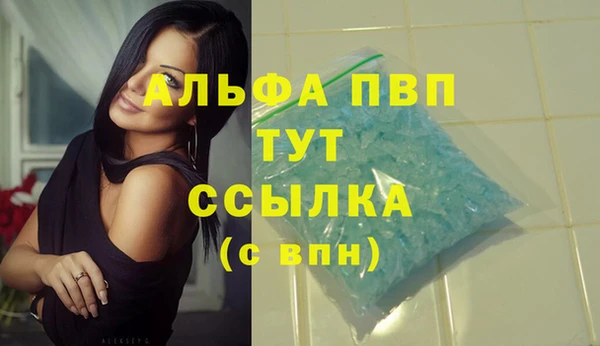 прущие крисы Аркадак