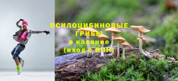 прущие крисы Аркадак
