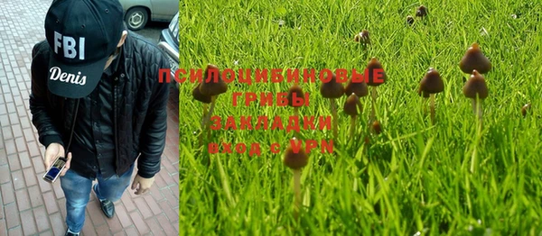 прущие крисы Аркадак